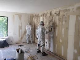 Best Industrial Mold Remediation  in Hondo, TX